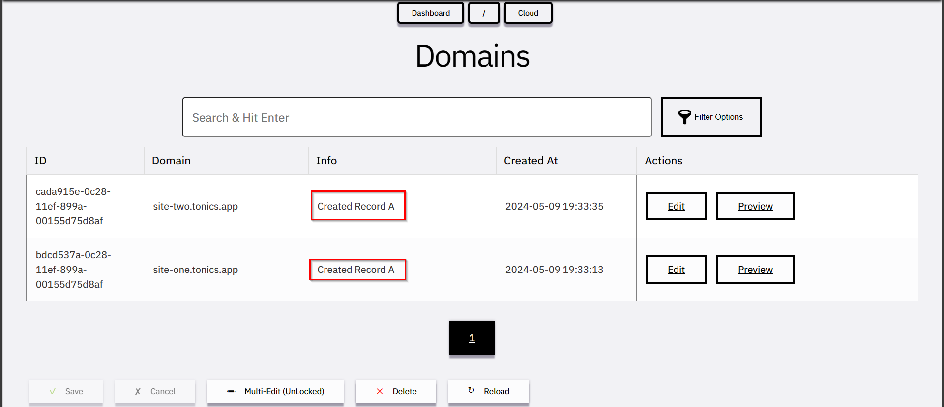 Domain Records created