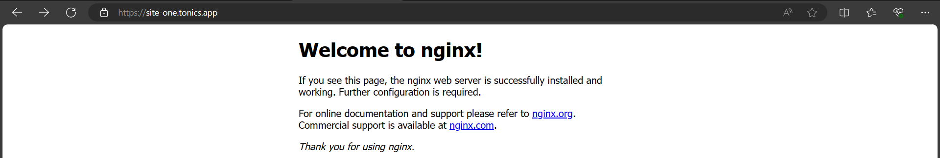 Welcome To NGINX message